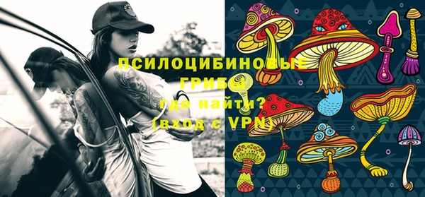 ГАЛЛЮЦИНОГЕННЫЕ ГРИБЫ Алексин