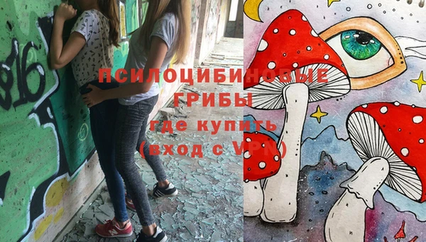 твердый Алексеевка