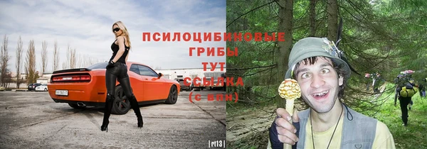 твердый Алексеевка