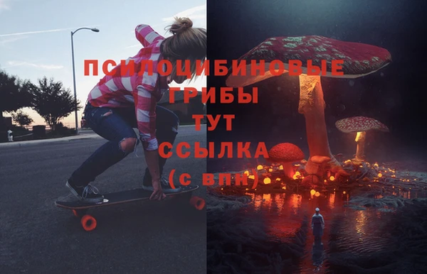 твердый Алексеевка