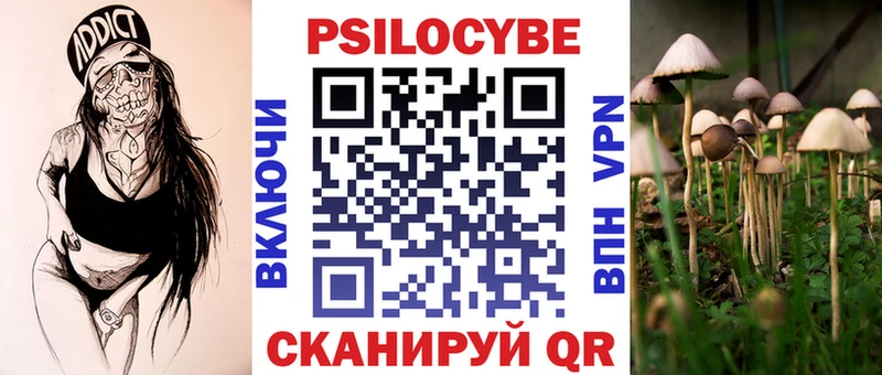 Псилоцибиновые грибы мухоморы где купить наркоту Чебоксары